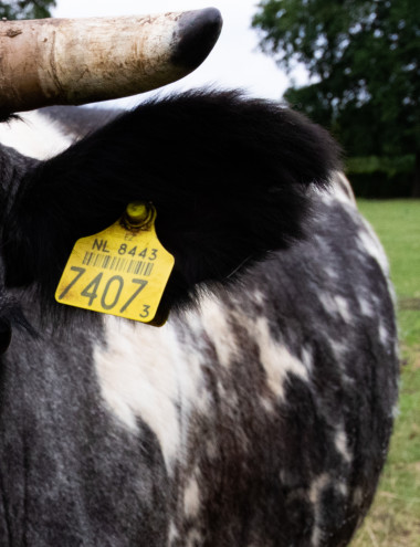 Zorgboerderij Hapert B.V. HAPERT afbeelding 3